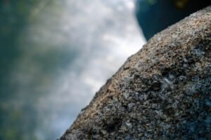 7F80AD3A-65B4-4DE0-951C-2046D6EA3D69